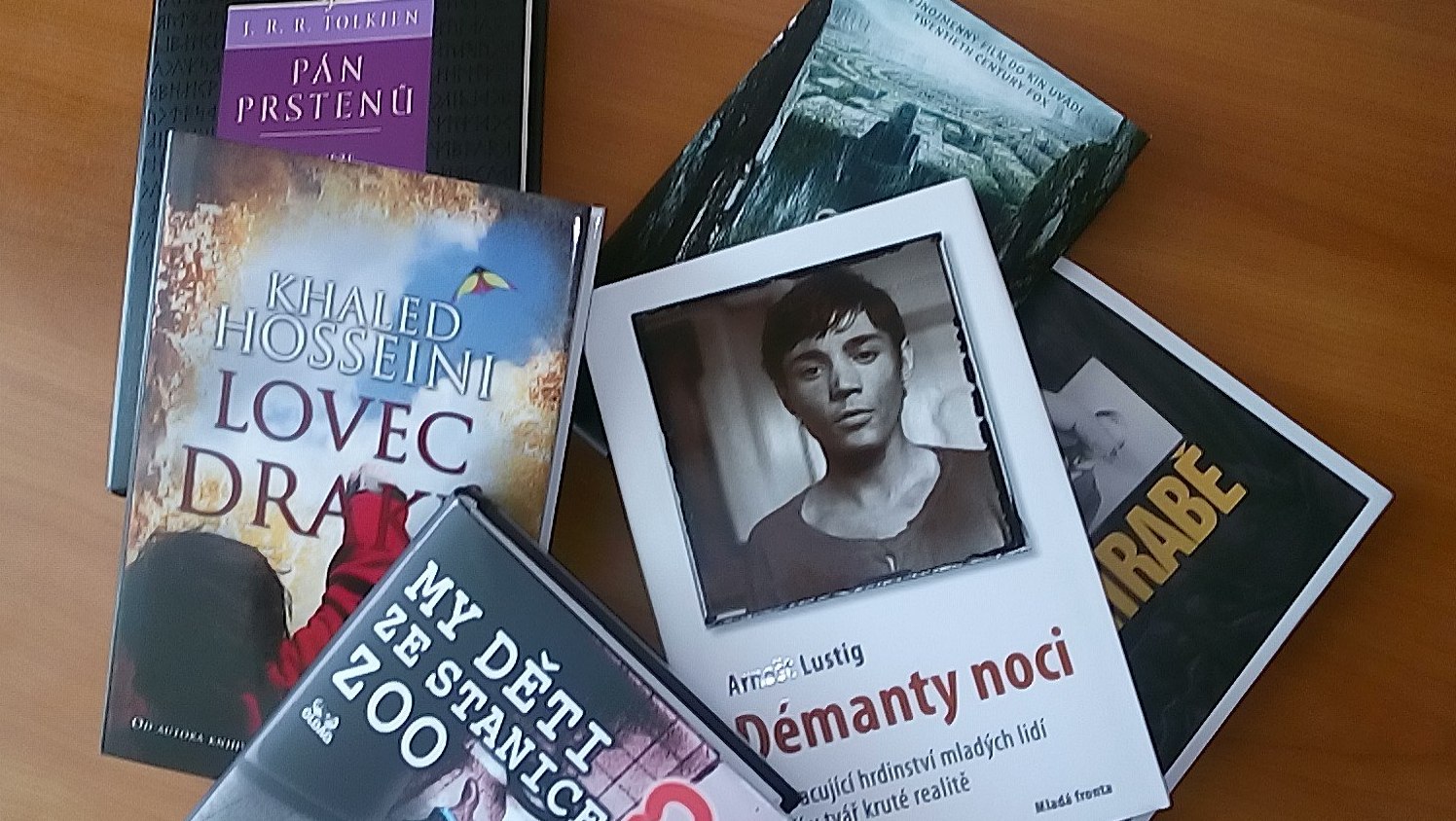 Výuka českého jazyka a literatury